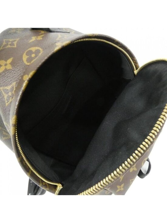 Louis Vuitton Monogram Palm Spring Backpack PM Sac main image 6